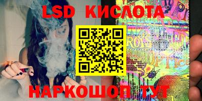 прущие грибы Вязьма