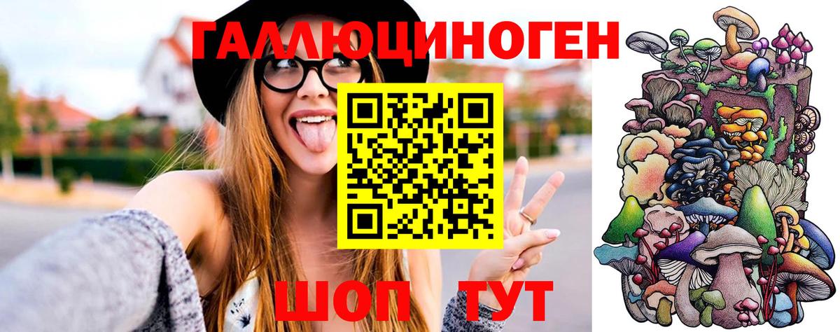 Губкин  Псилоцибиновые грибы мухоморы  где продают   Вход с VPN  Галлюциногенные грибы Magic Shrooms 