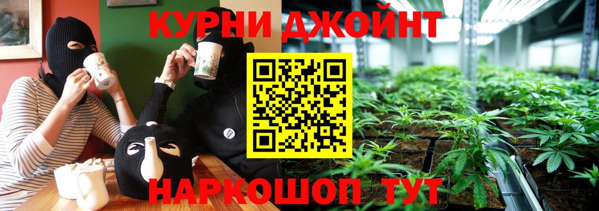 Губкин  Конопля MAZAR  Бошки марихуана Bruce Banner  МАРИХУАНА семена  Вход с VPN  МАРИХУАНА White Widow 